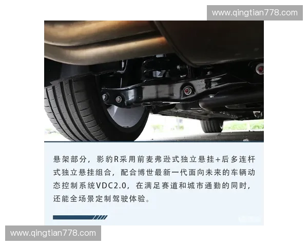基于运动算法的智能优化系统在多维动态环境中的适应性研究